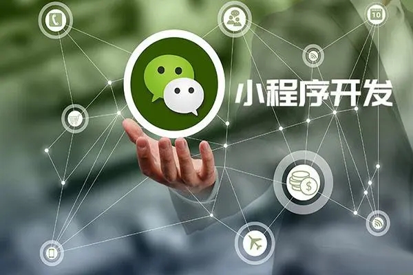 通过大足区小程序开发公司进行先进的成分管理